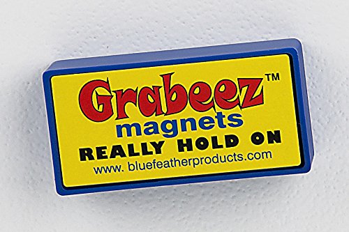 Strong Domino Size Magnets - Set of 5 for Fridge & Office