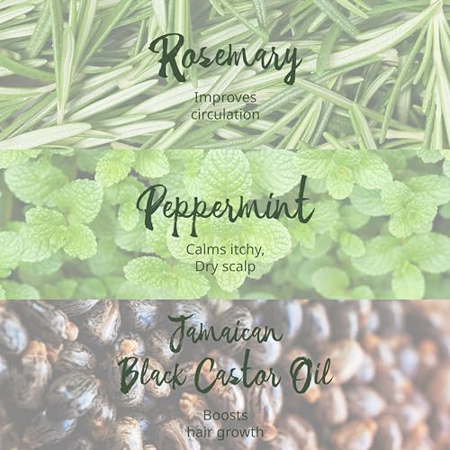 Tropic Isle Living Rosemary Mint Shampoo 8 oz - Nourishing & Gentle for All Hair Types