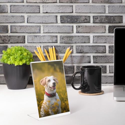 Lechay 8-Pack 4x6 Inch Clear Acrylic Photo Frames - Scratch-Resistant Display