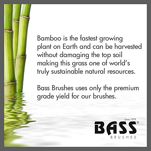 Bass Professional Bamboo Paddle Hair Brush with Nylon Pins - Small