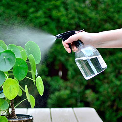 Youngever 6 Pack 16oz Empty Plastic Spray Bottles with Black Sprayer