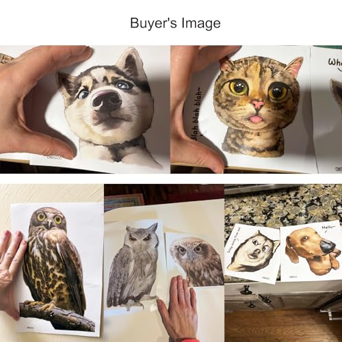3D Realistic Owl Sticker Set - 20x20cm & 20x30cm Waterproof Vinyl Decals