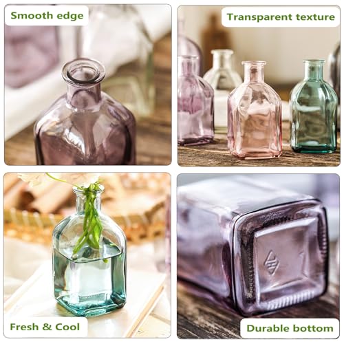 Coastal Style Glass Vase Set of 2 - Nordic Minimalist Decor
