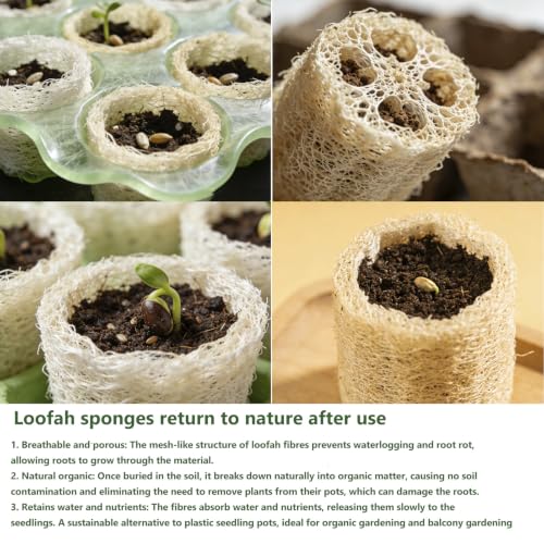 Natural Loofah Sponge 4 Pack - Exfoliating Body Scrubber