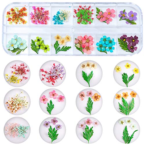 KISSBUTY Dried Flower Nail Art Kit – 2 Boxes, 24 Colors Mini Real Flowers & Leaves