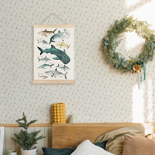 Supwhd Shark Wall Art with Wooden Frame - 12x16 Ocean Decor