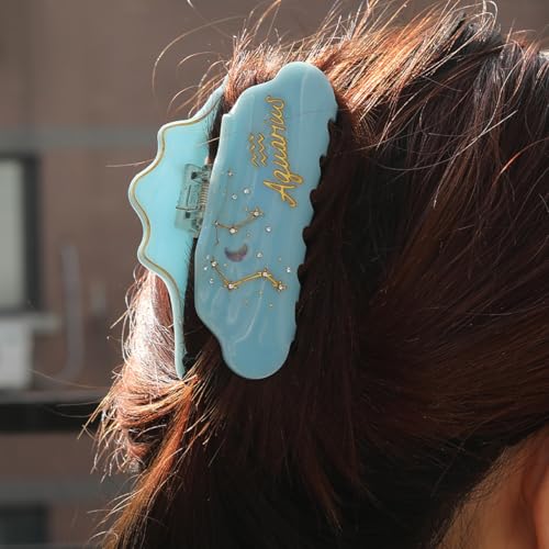 Clip Sugar Aquarius Sign Hair Clips - Zodiac Acetate Claw Hair Accessories for Women