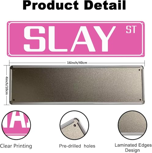 Funny Pink Street Sign Wall Decor - 16" x 4" for Teen Rooms