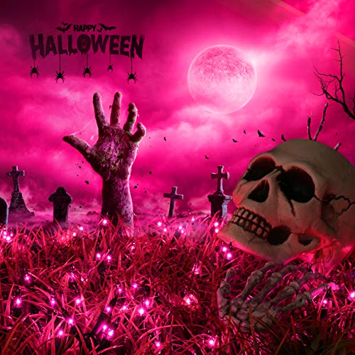 Brizled 100 Count Purple Halloween String Lights, 21.3ft
