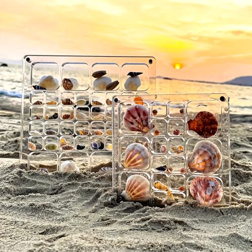 Seashell Display Case with Magnetic Closure | Acrylic Organizer with 18 Grids