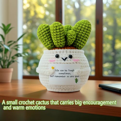 Handmade Crochet Cactus Doll | Positive Emotional Support Gift
