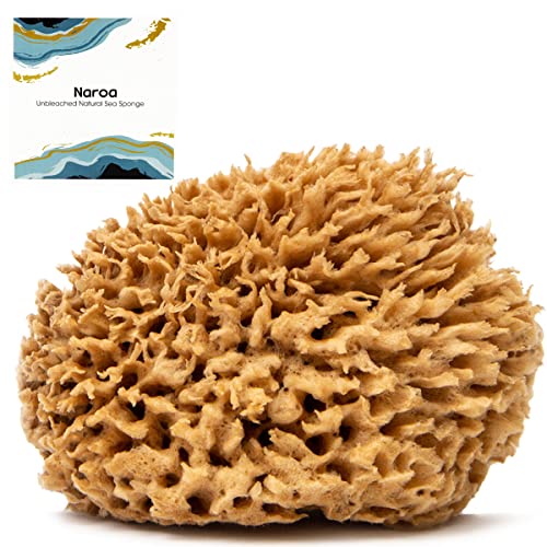 Naroa Medium Natural Sea Sponge | Gentle Bath Loofah for Smooth Skin