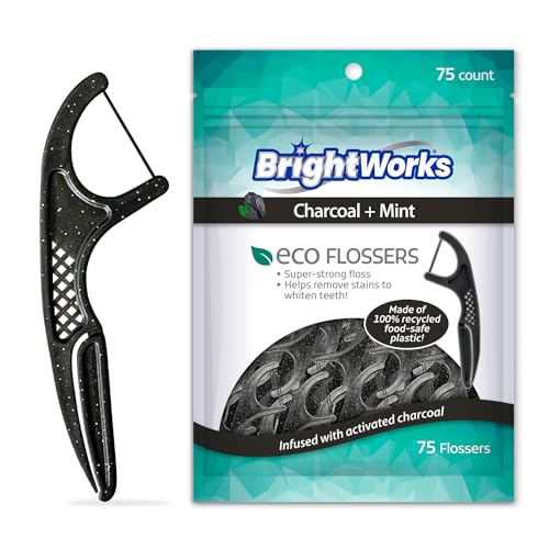 BrightWorks Eco-Friendly Charcoal Mint Floss Picks - 225 Count