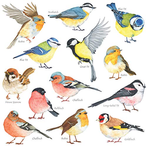 DECOWALL Little Birds Kids Wall Stickers - Removable Decals for Nursery