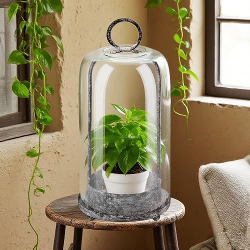 12" Modern Metal Hurricane Lantern with Handmade Glass Dome - Shabby White