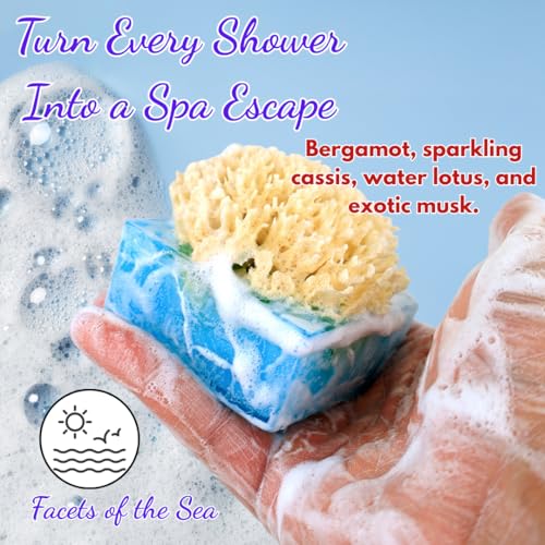 Primal Elements Sea Sponge Bar Soap Pack of 2 - Hydrating & Natural