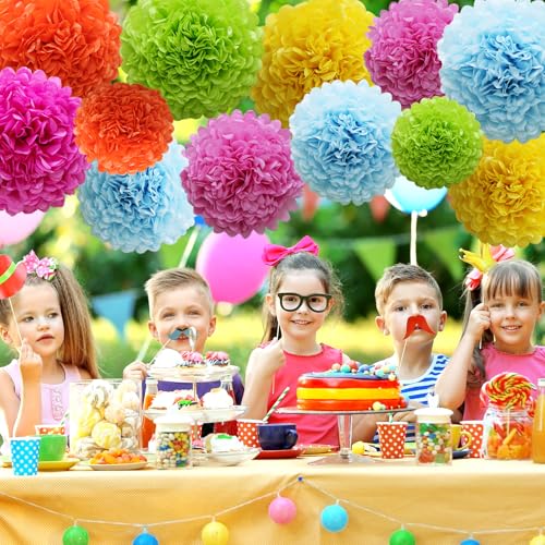 Colorful Tissue Paper Pom Poms - 12Pcs Fiesta Party Decorations