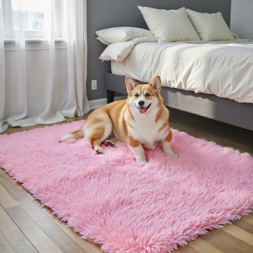 Soft Plush Pink Shag Area Rug, 2x3 Non-Slip Bedroom Carpet