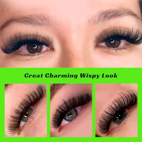 Kolybel 500 Wispy Premade Lash Fans - 7D 0.07 C Curl 8-15mm