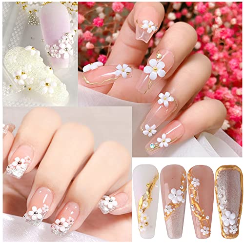 Pink & White 3D Flower Nail Charms Set - Acrylic Nail Art Decorations, 2 Boxes