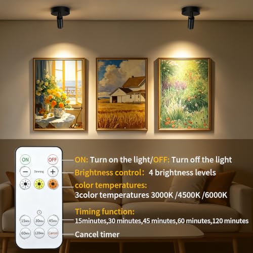 Rechargeable Indoor Spotlight with Remote | Dimmable 3-Color LED Picture Light