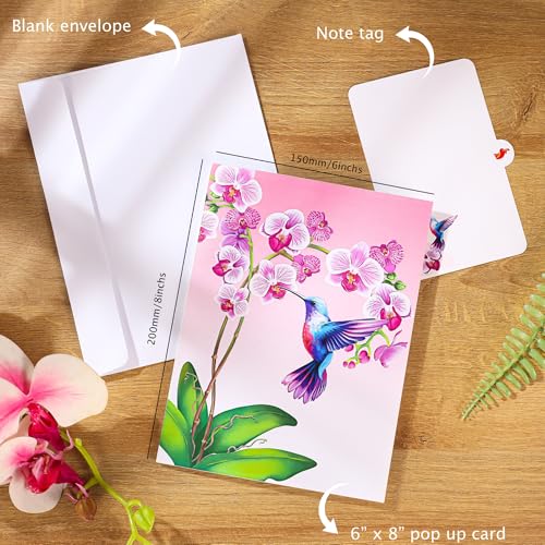3D Hummingbird Pop-Up Birthday Card for Women - Purple Orchid Design