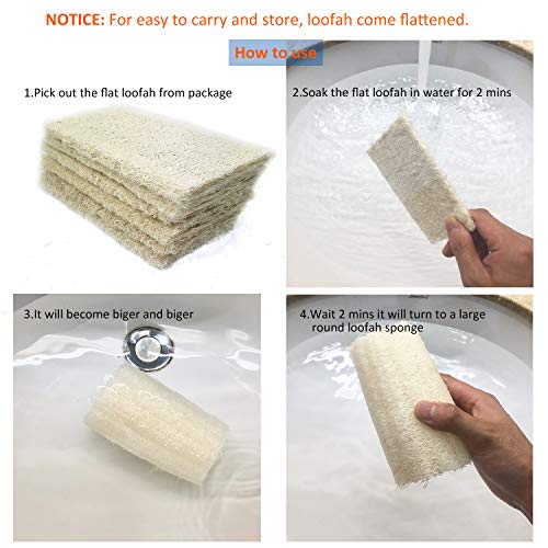 Organic Loofahs 6-Pack Exfoliating Body Wash Sponges - 5"