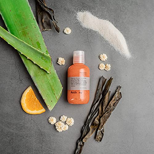 Anthony Exfoliating Face Scrub for Men, 3.4 Fl Oz - Vitamin C & Aloe