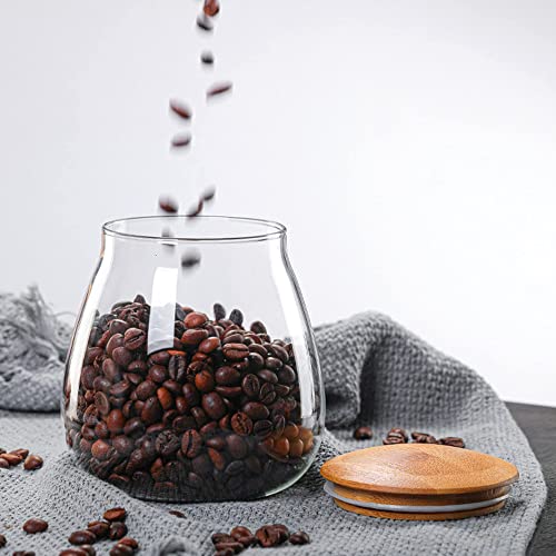 MOLADRI 400 ML Clear Glass Storage Jar with Airtight Bamboo Lid