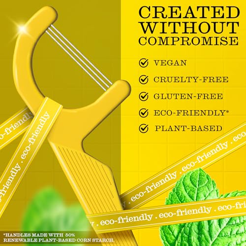 TWICE Eco-Friendly Dental Floss Picks – 300 Count, Mint Flavor