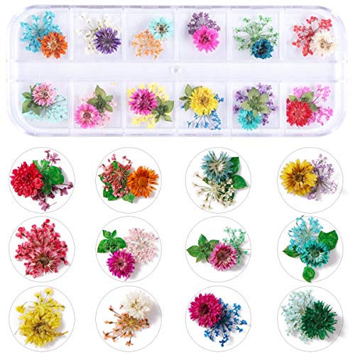 KISSBUTY Dried Flower Nail Art Kit – 2 Boxes, 24 Colors Mini Real Flowers & Leaves