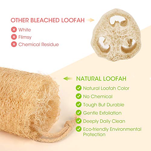 Natural Loofah Sponge 4 Pack - Exfoliating Body Scrubber