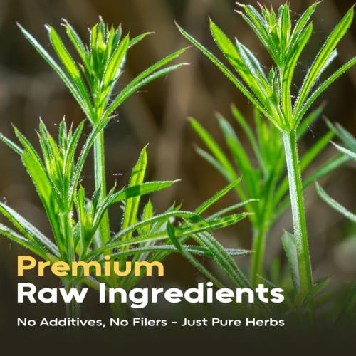 Premium Cleavers Herb Tea - 4oz Dried Galium Aparine, Caffeine-Free