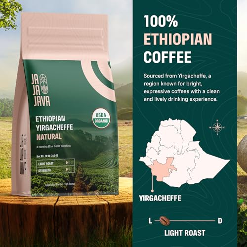 Organic Ethiopian Yirgacheffe Coffee Beans - Light Roast 12 oz