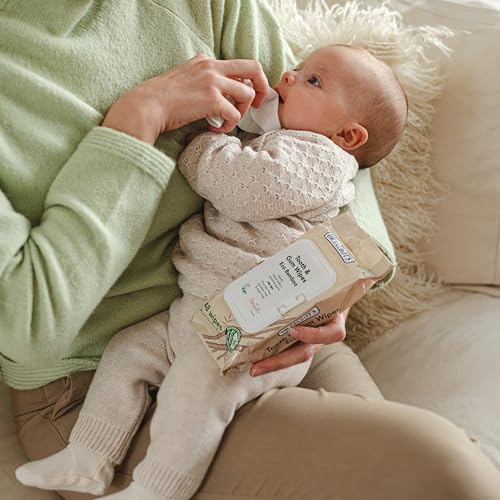 Dr. Talbot's Eco Bamboo Baby Tooth & Gum Wipes - 96 Count