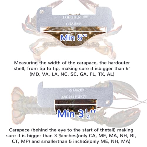 Lobster and Crab Gauge Measuring Tool - 2 Pack Aluminum, 3.25" & 5"