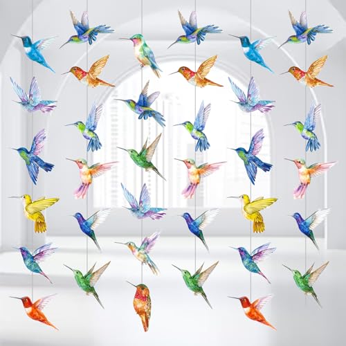 Hummingbird Birthday Party Decorations - Set of 6 Colorful Garlands