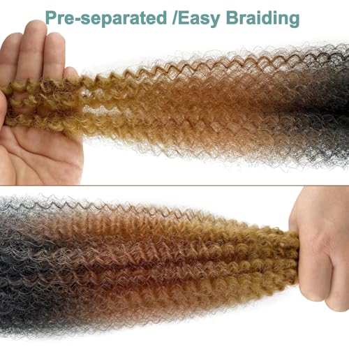 12 Inch Pre-Fluffed Afro Twist Hair 1B/30/27 - Pack of 8