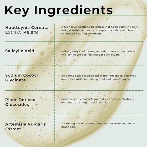 LUMEGANCE Heartleaf & BHA Deep Pore Cleansing Foam, 150ml