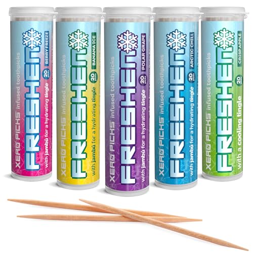 Xero Picks Freshen Infused Flavored Toothpicks - Cooling Breath Freshener, 100 Picks, 5-Pack Variety