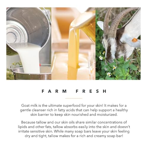 Organic Eucalyptus & Peppermint Beef Tallow Soap with Sea Salt
