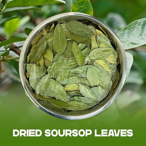 Organic Soursop Leaves - 100% Sun-Dried Herbal Tea | 4 oz