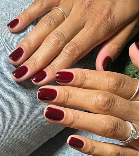 Aegenacess 07-Short Jelly Burgundy Press On Nails - Short Square 24pc Kit