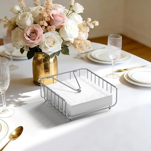 Weighted Metal Napkin Holder with Silicone Pads - Silver