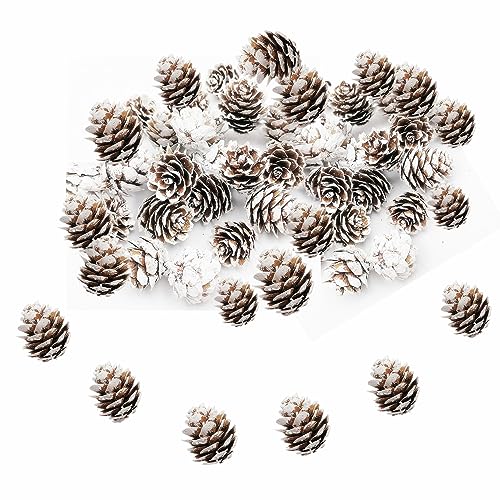 180 PCS Mini Pine Cones - Organic Rustic Ornaments for Crafts