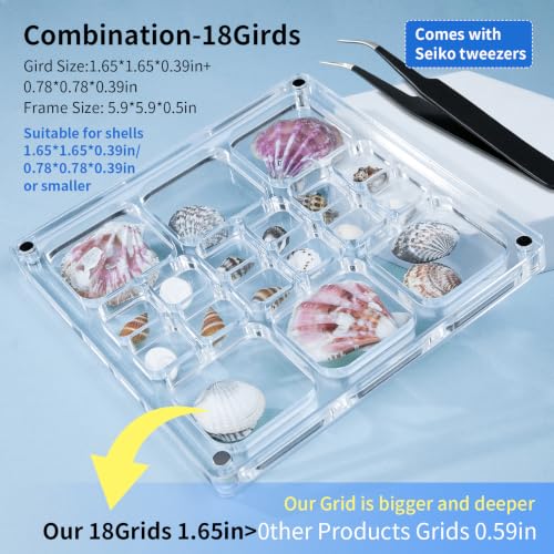 Seashell Display Case with Magnetic Closure | Acrylic Organizer with 18 Grids