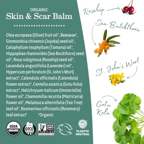 Earth Mama Organic Skin & Scar Balm - (2 Pack) 1 fl oz - Skin Balm for Scars - Made with Organic Jojoba Oil, Tamanu Oil & Gotu Kola