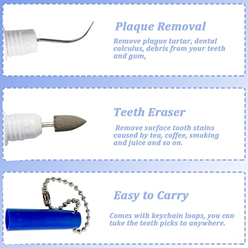 Portable Dental Picks Set 4PCS for Teeth Cleaning Tartar & Plaque Removal with Keychain