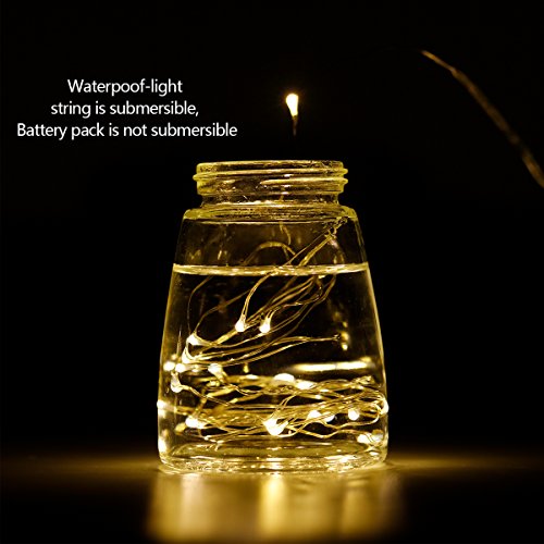 LIIDA LED Fairy String Lights - 12-Pack Mini Lights on Copper Wire