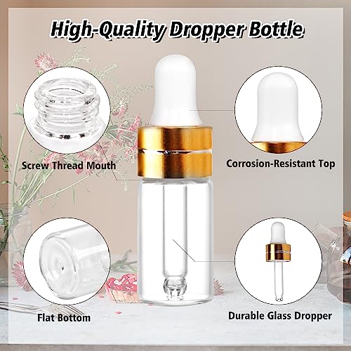 3ml Clear Glass Dropper Bottles - 50 Pack with Gold Caps